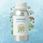 Coriander