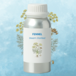 Fennel