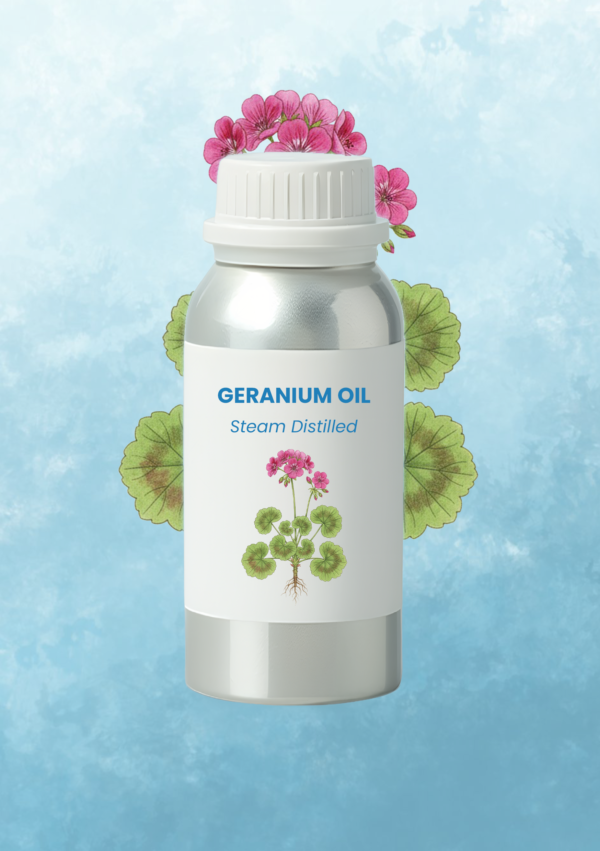 Geranium